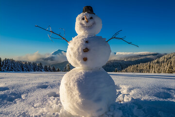 Kinder haben aus Schnnee einen Schneemann gebaut