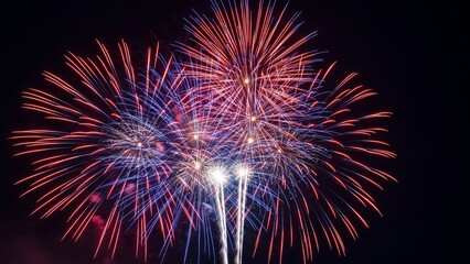 Red and blue fireworks explode in a dark night sky, celebratory display over a city during a holiday event.