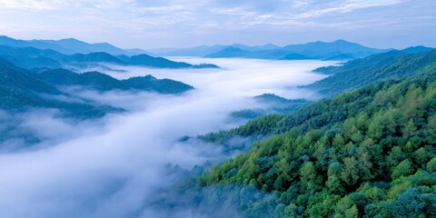 aerial photography of the early morning sunrise in autumn, dense forests and distant mountains shrouded by fog, golden larch trees covering huge areas of mountainous terrain.