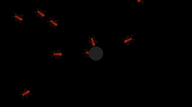 Animation of red ants walking on a black screen, small insects coming out of holes, itchy ants walking in a row, 4K video.