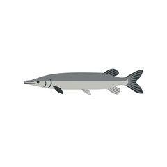 Obraz premium Detailed illustration of a longnose gar fish swimming in the water.