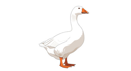 A white domestic goose standing in a profile view on a clean white background, showcasing its elegant posture and features.