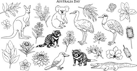 Naklejka premium Australia Day Black and White Line Art Collection of Australian Native Wildlife, Birds, and Flora. Outline Set of Iconic Animals, Plants, and Symbols for Culture, Travel, and Education.