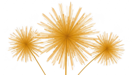 Celebration fireworks display with bright golden bursts illuminating the night sky for festive event isolated on transparent background