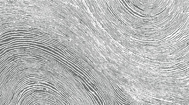 Abstract macro view of a grey fingerprint texture with flowing curved lines and organic ridges creating a detailed background pattern with a sense of movement and depth