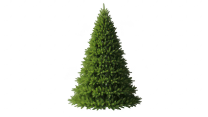 Fresh green christmas tree with dense branches and vibrant foliage isolated on transparent background