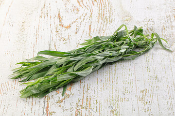 Fresh green estragon aroma stem