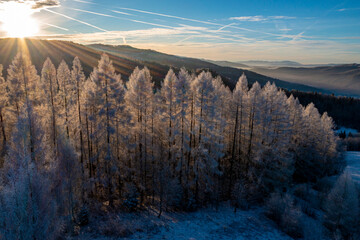 Góra Malnik, Beskid Sądecki, Muszyna. © Maciej G. Szling