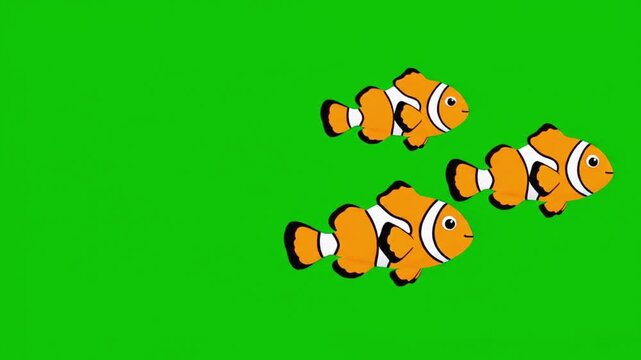 Three adorable orange and white striped cartoon clownfish gracefully swimming together across a bright green screen background.