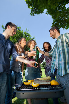 Friends toasting and enjoying barbecue outdoors on a sunny day