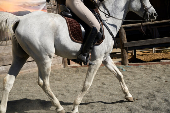 Equestrian riding a horse outdoors demonstrating movement and focus
