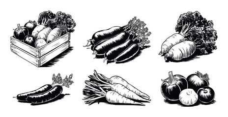 Assortment of hand drawn fresh vegetables and root produce including carrots broccoli tomatoes and bell peppers depicting healthy organic food for market packaging culinary blogs and