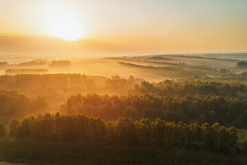 Fototapeta premium Misty hills with autumn trees
