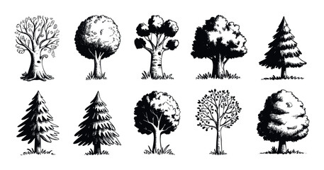 Collection of hand drawn black and white trees in a vintage sketch style ideal for nature themed educational materials or forest conservation promotions