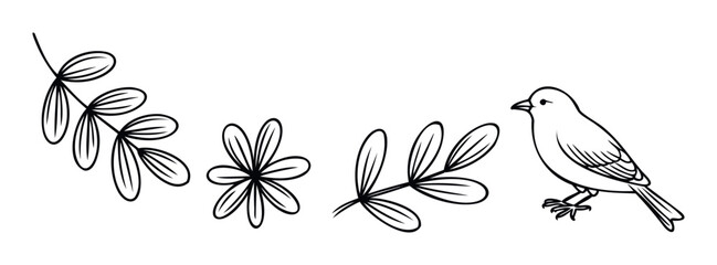 A charming line drawing featuring a small bird alongside delicate botanical elements, perfect for creating childrens book illustrations, naturethemed decorations, or greeting cards.