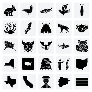 A Diverse Collection Of World Fauna &ndash; Including The Albatross, Aardvark, And Centipede For Educational And Conservation Projects