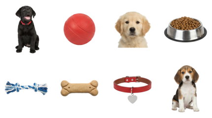Puppy and dog care set including labrador, golden retriever, beagle, food bowl, bone, collar, rope, and ball isolated. Pet supply and animal ownership collection.