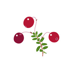 Bog Cranberry with Red Berries and Leaves