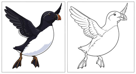Fototapeta premium Two Puffin Birds Coloring Page Comparison With Colored and Black and White Outline Versions