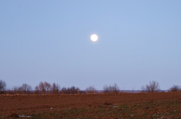 A bright full moon glows over a vast field during evening twilight, creating an atmosphere of peace and solitude. Bare tree silhouettes on the horizon highlight nature's transition into winter sleep u © Олег Струс