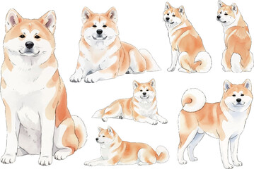 秋田犬の水彩風イラストセット