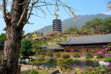 The Gardens and Architecture of Buddhist Temples