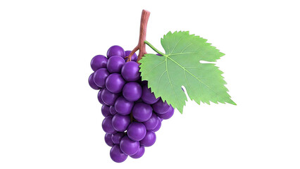Fototapeta premium Cluster of Purple Grapes with a Green Leaf
