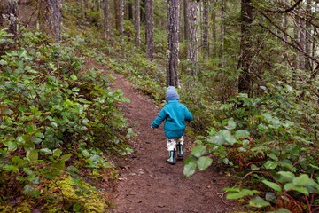 Toddler walks on a trail surrounded by tall trees on Vancouver Island. Dressed in outdoor layers and boots, they explores at their own pace. Captures curiosity resilience and unstructured nature play