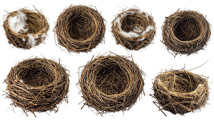 A closeup of a real bird's nest with eggs made of natural straw and dry twigs isolated on a white background