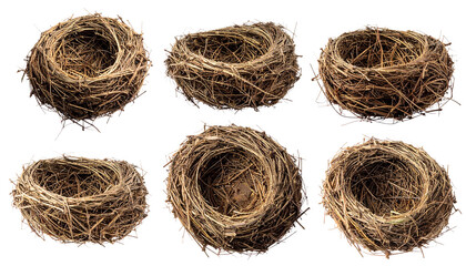 A closeup of a real bird's nest with eggs made of natural straw and dry twigs isolated on a white background