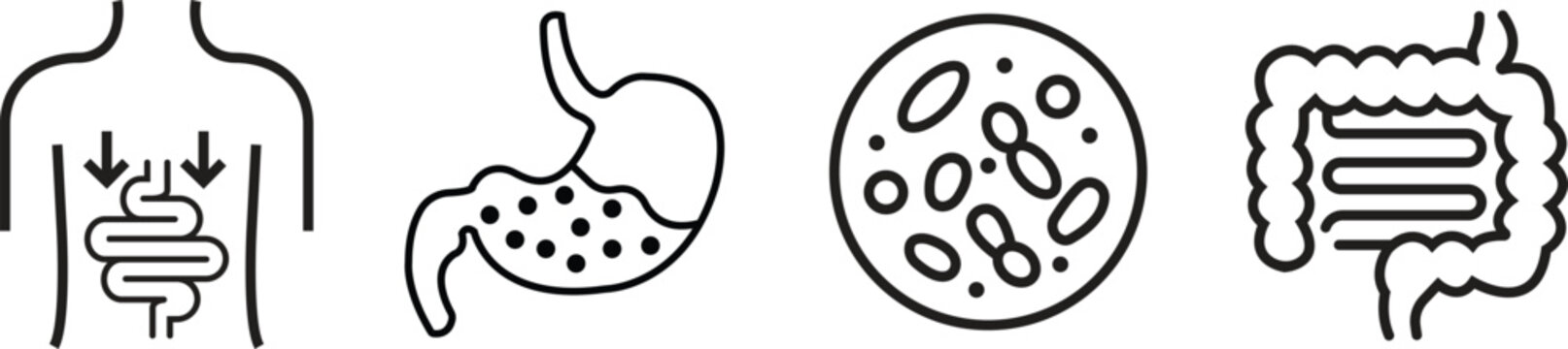 Digestive system organ icons set in black outline styles. Vectors graphic illustration depicting human Stomach, intestine gut health, probiotics and digesting process minimalist designs elements.