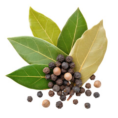 Fresh green and dried bay leaves with black peppercorns arranged artistically for culinary and decorative purposes. Isolated on transparent background