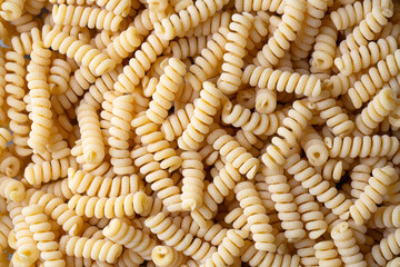 Raw Dry Organic Italian Fusilli Corti Bucati
