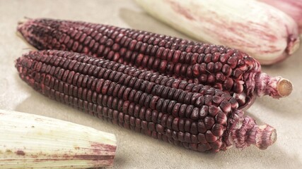 Fresh purple corn or purple maize