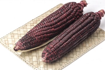 Fresh purple corn or purple maize