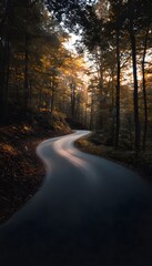 Fototapeta premium Autumn forest road a serene path bathed in golden sunset light evokes peaceful contemplation and wanderlust