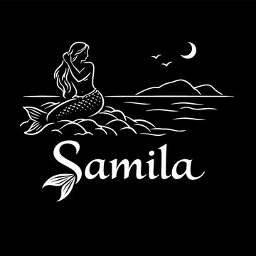 Elegant mermaid sitting on a rock at night vector illustration