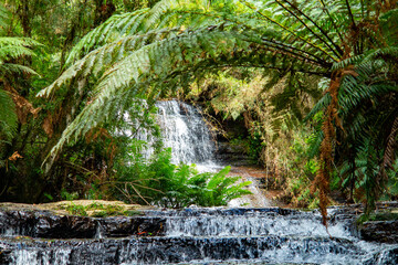 beautiful waterfall at cachoeiras taken in  Urubici, located in the state of Santa Catarina in Brazil