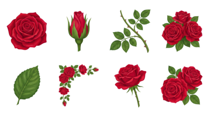 Red rose set including blooming flower heads, buds, leafy branches, and corner arrangement isolated. Floral decoration and botanical collection.
