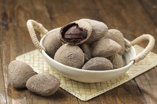 Kluwek also known as keluak, keluwak, or black nut - the seeds of the Pangium edule tree