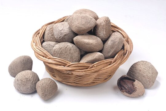 Kluwek also known as keluak, keluwak, or black nut - the seeds of the Pangium edule tree