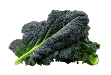 Bunch of Lacinato kale with textured, dark-green leaves against dark background