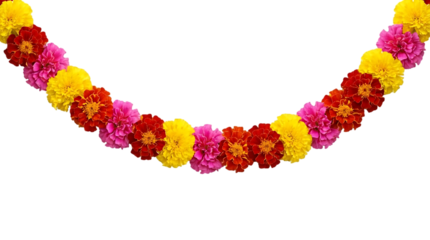 Beautiful marigold flower garland decoration for indian festivals like lohri and pongal and makar sankranti celebration with yellow and orange blooms isolated on transparent background