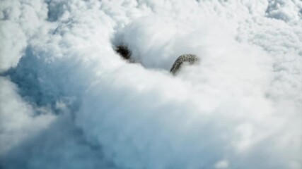 Peaceful person sleeps on fluffy white clouds under soft sky creating dreamy fantasy scene of rest comfort and imagination