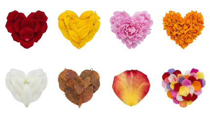 Heart shape collection including rose petals, sunflower petals, peony blossoms, marigolds, and autumn leaves isolated. Floral elements for romantic design and valentines day.