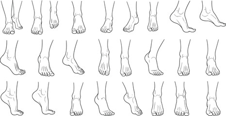 Bare feet in various positions human feet foot anatomy line black and white