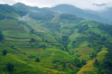 Natural and urban views of Vietnam