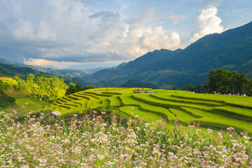 Natural and urban views of Vietnam