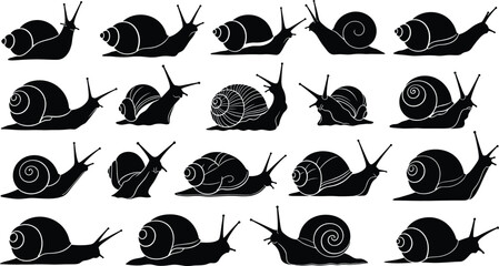Snail Silhouette Vector Set with Multiple Crawling Poses Black Garden Mollusk Wildlife Illustration Collection © Sumon Creative