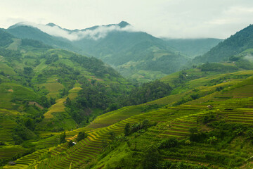 Natural and urban views of Vietnam